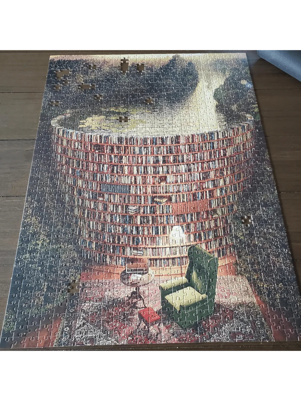 Bookshelf Canal 1000-Piece Jigsaw Puzzle