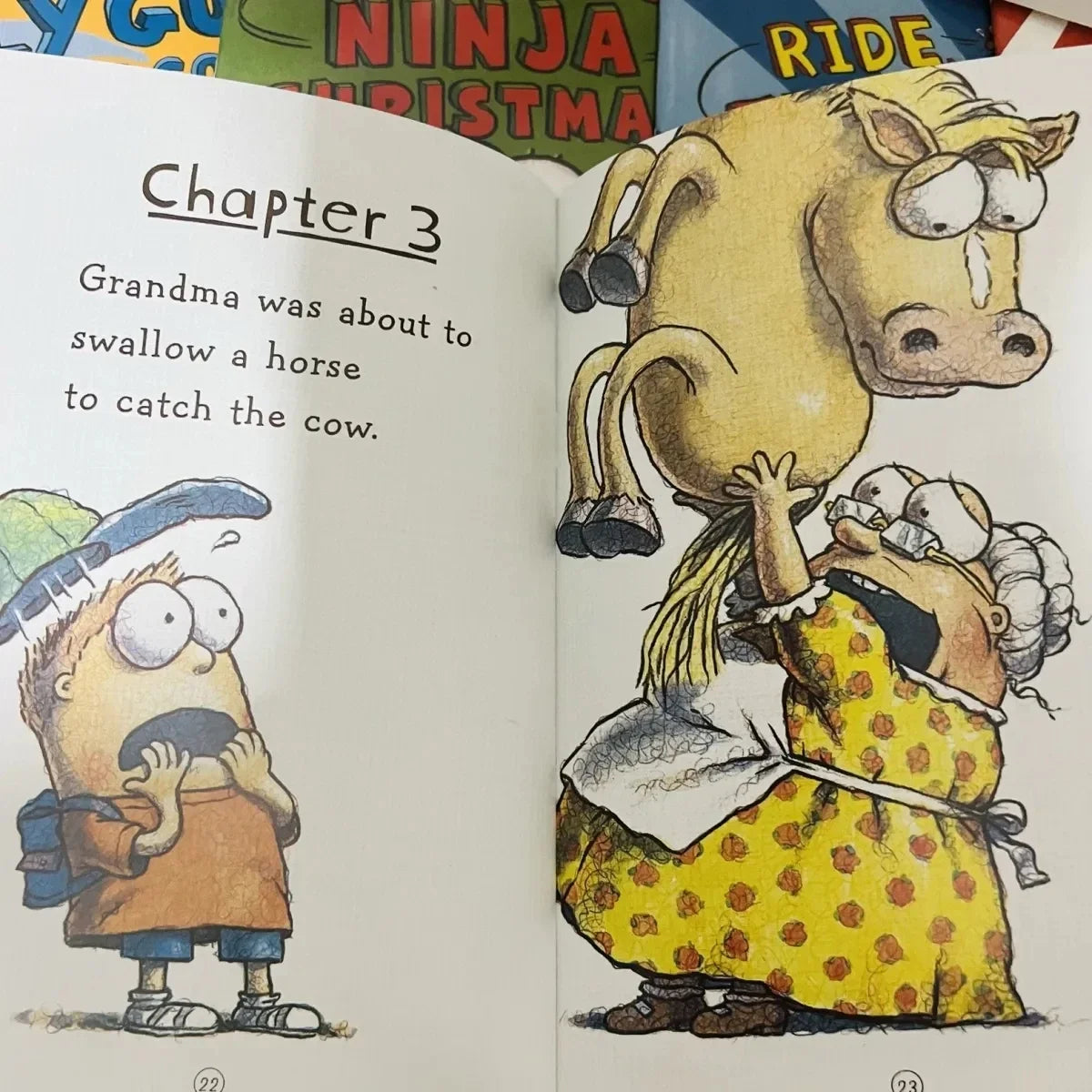 “Fly Guy” Children’s Book Collection (15-Book Set) — Fun Reading Adventures for Ages 5–8